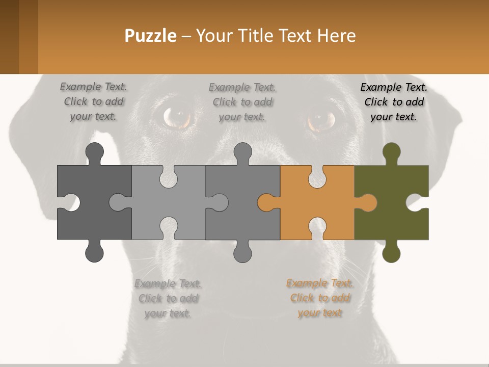 A Black Dog Is Looking At The Camera PowerPoint Template