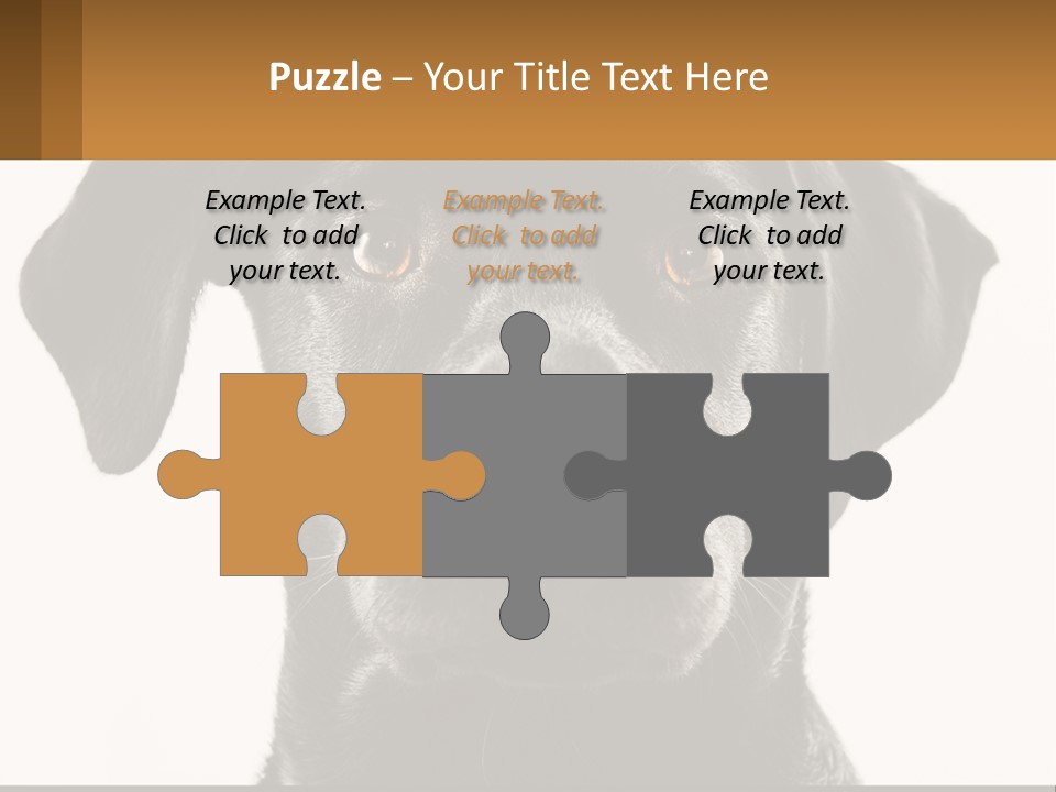 A Black Dog Is Looking At The Camera PowerPoint Template