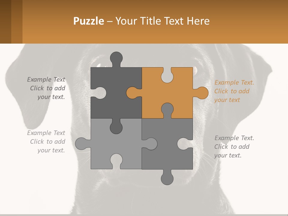 A Black Dog Is Looking At The Camera PowerPoint Template