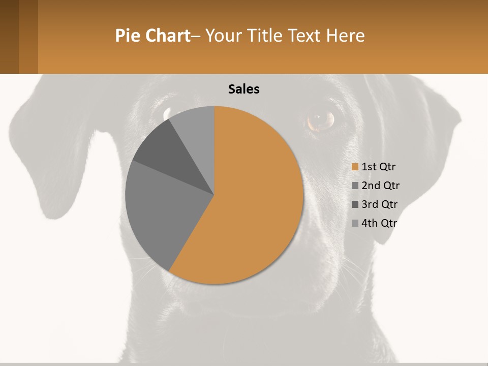 A Black Dog Is Looking At The Camera PowerPoint Template