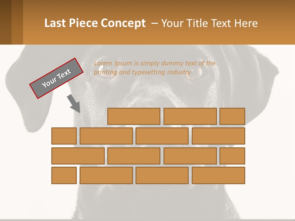 A Black Dog Is Looking At The Camera PowerPoint Template
