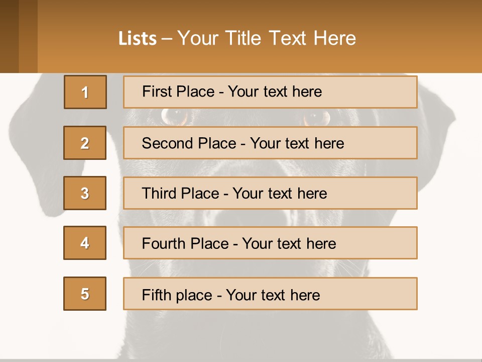 A Black Dog Is Looking At The Camera PowerPoint Template