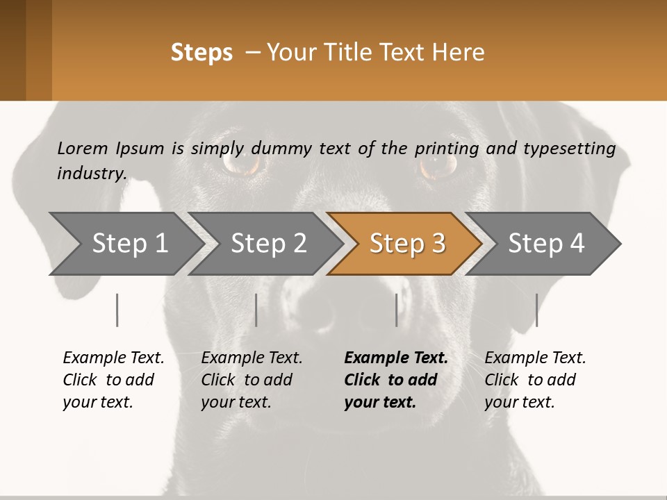 A Black Dog Is Looking At The Camera PowerPoint Template