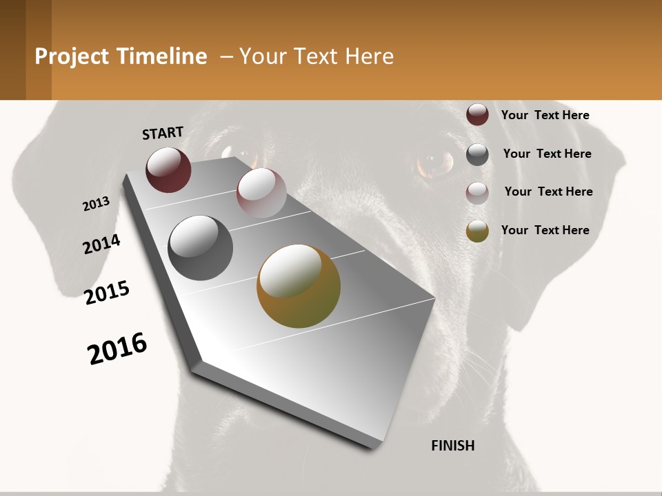A Black Dog Is Looking At The Camera PowerPoint Template