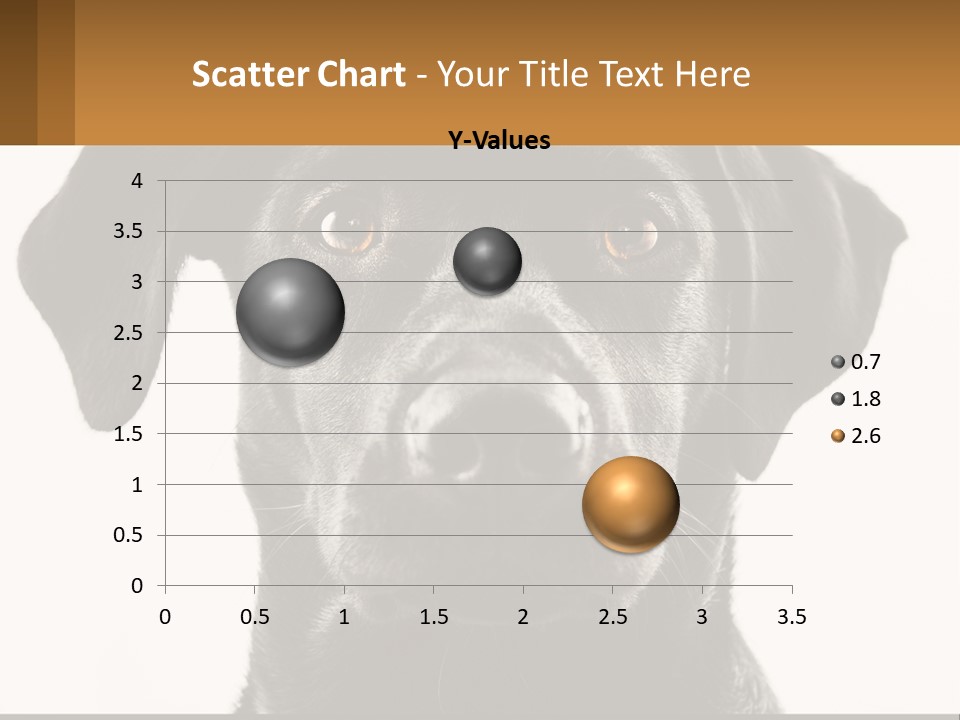 A Black Dog Is Looking At The Camera PowerPoint Template
