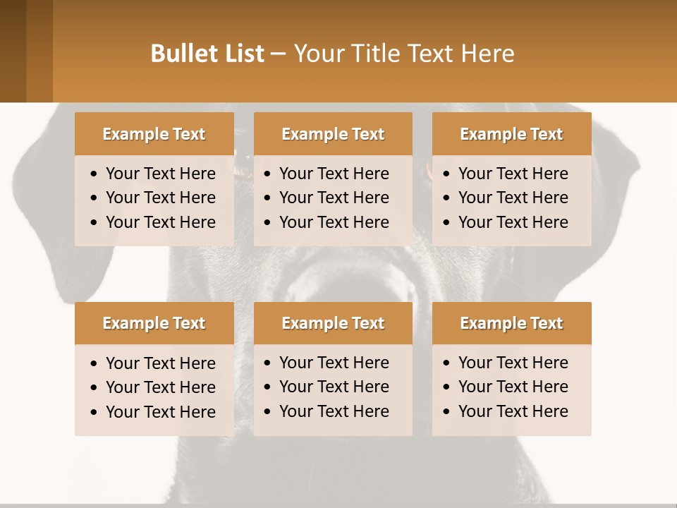 A Black Dog Is Looking At The Camera PowerPoint Template