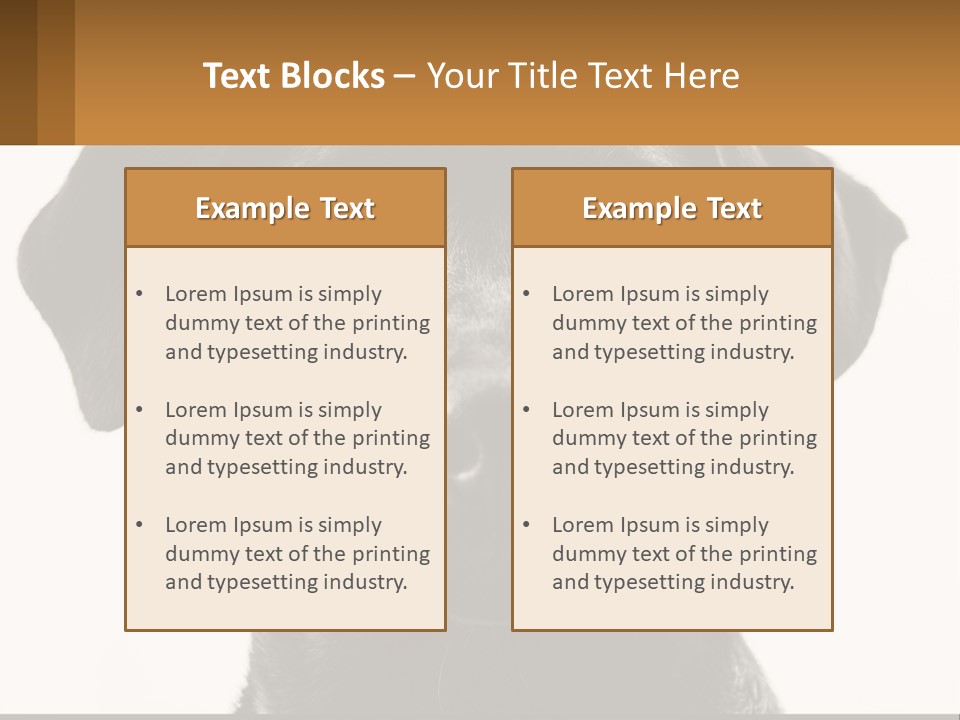A Black Dog Is Looking At The Camera PowerPoint Template