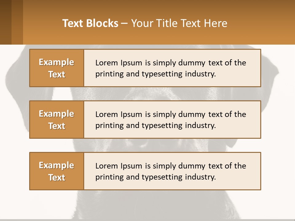 A Black Dog Is Looking At The Camera PowerPoint Template