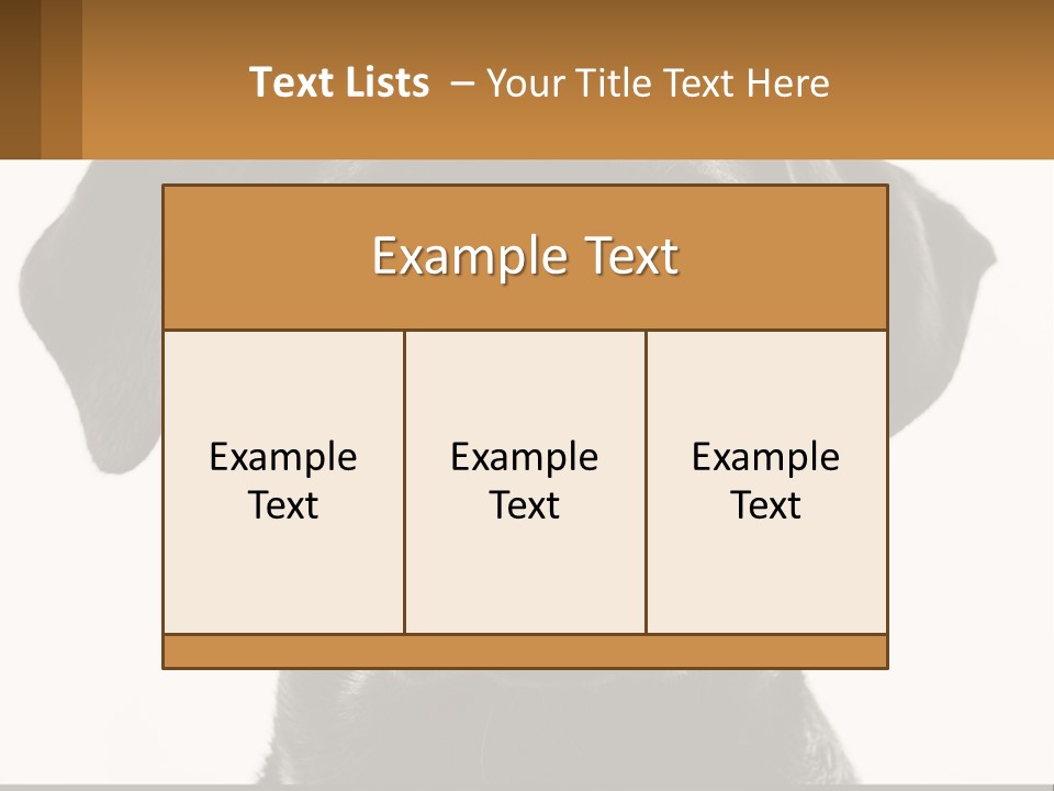 A Black Dog Is Looking At The Camera PowerPoint Template