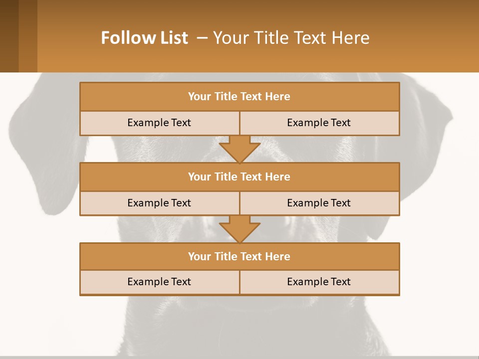 A Black Dog Is Looking At The Camera PowerPoint Template