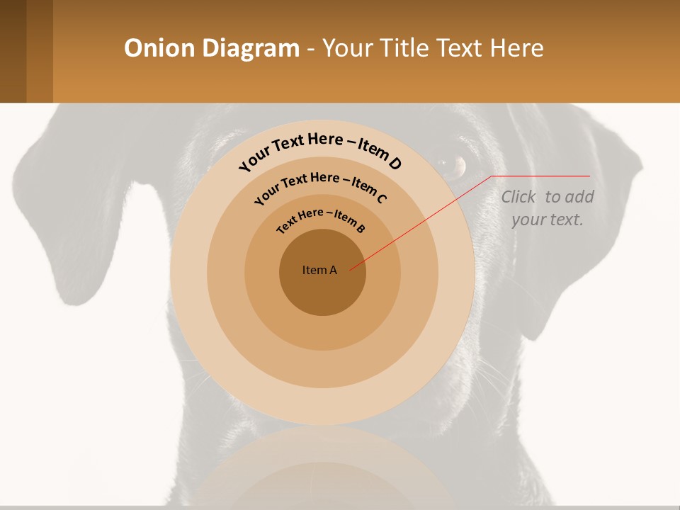 A Black Dog Is Looking At The Camera PowerPoint Template