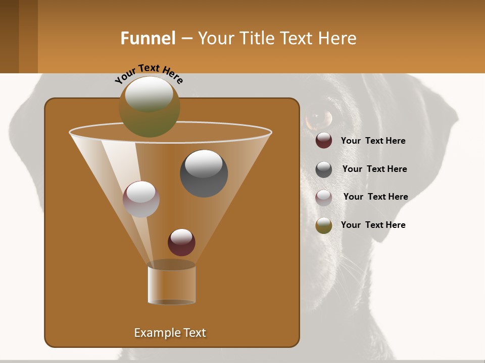 A Black Dog Is Looking At The Camera PowerPoint Template