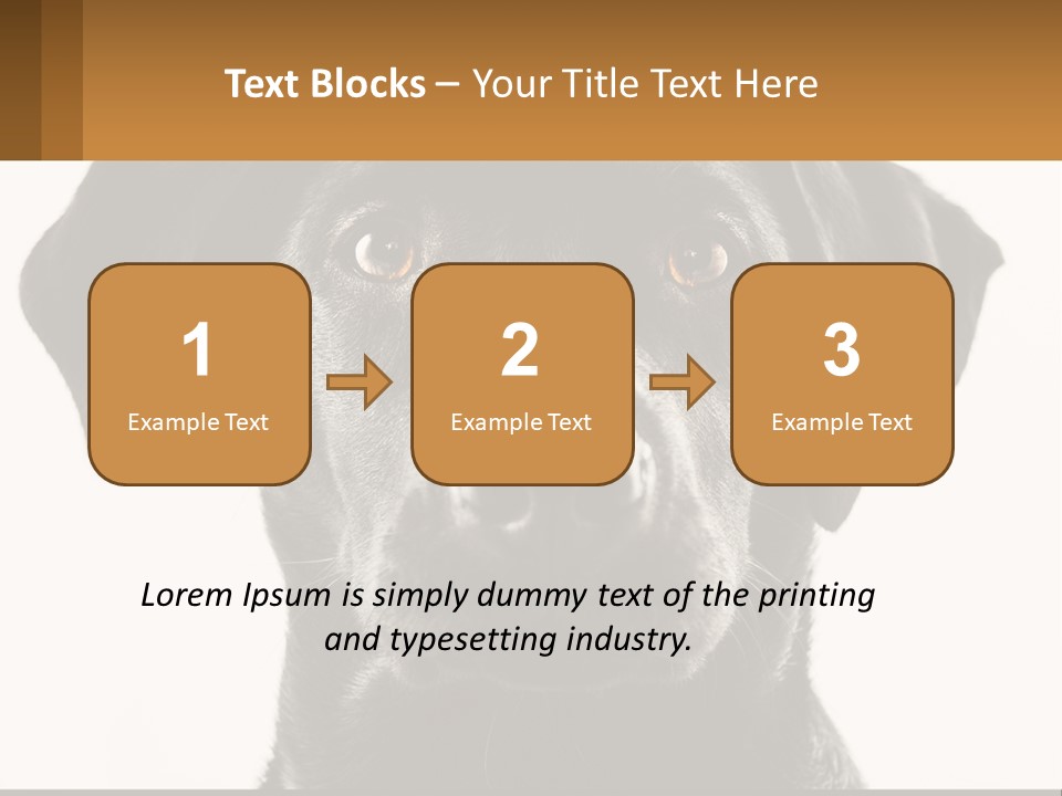 A Black Dog Is Looking At The Camera PowerPoint Template