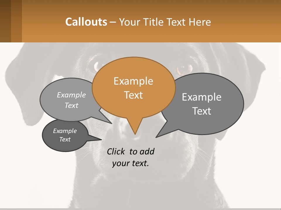 A Black Dog Is Looking At The Camera PowerPoint Template