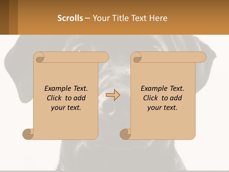 A Black Dog Is Looking At The Camera PowerPoint Template