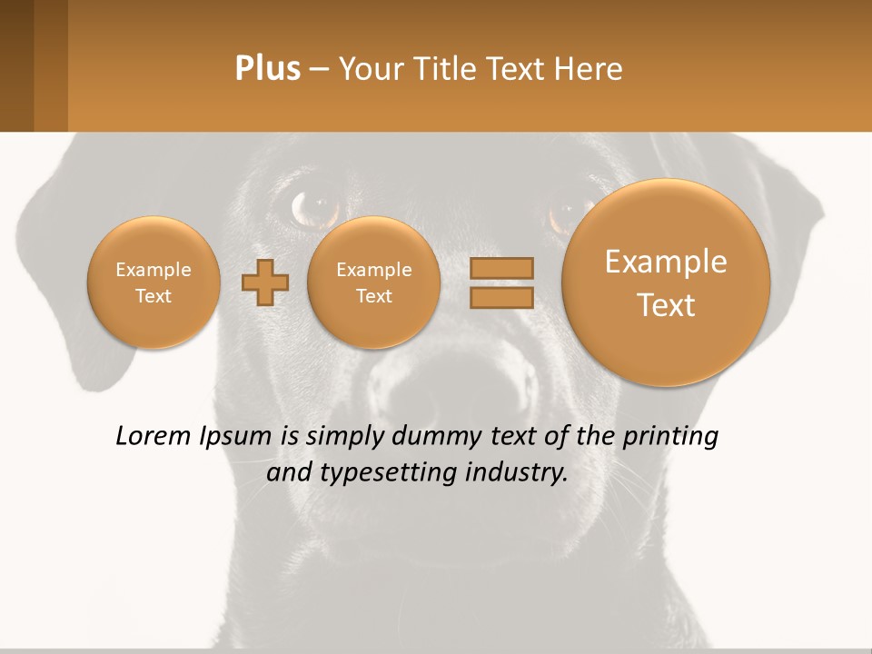A Black Dog Is Looking At The Camera PowerPoint Template