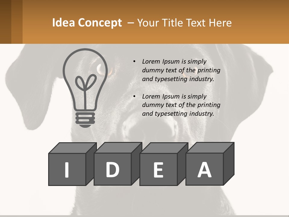 A Black Dog Is Looking At The Camera PowerPoint Template