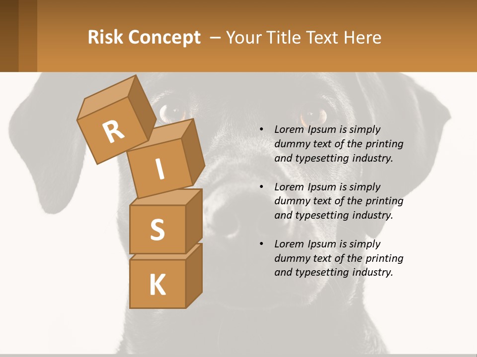 A Black Dog Is Looking At The Camera PowerPoint Template