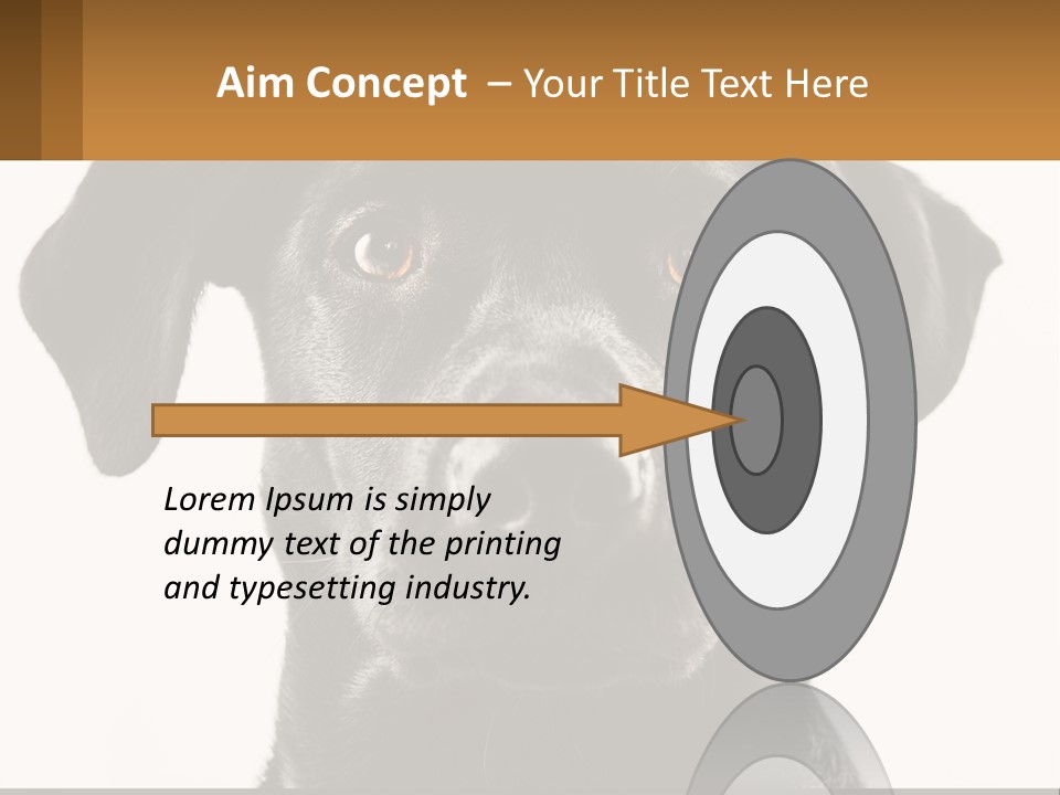 A Black Dog Is Looking At The Camera PowerPoint Template
