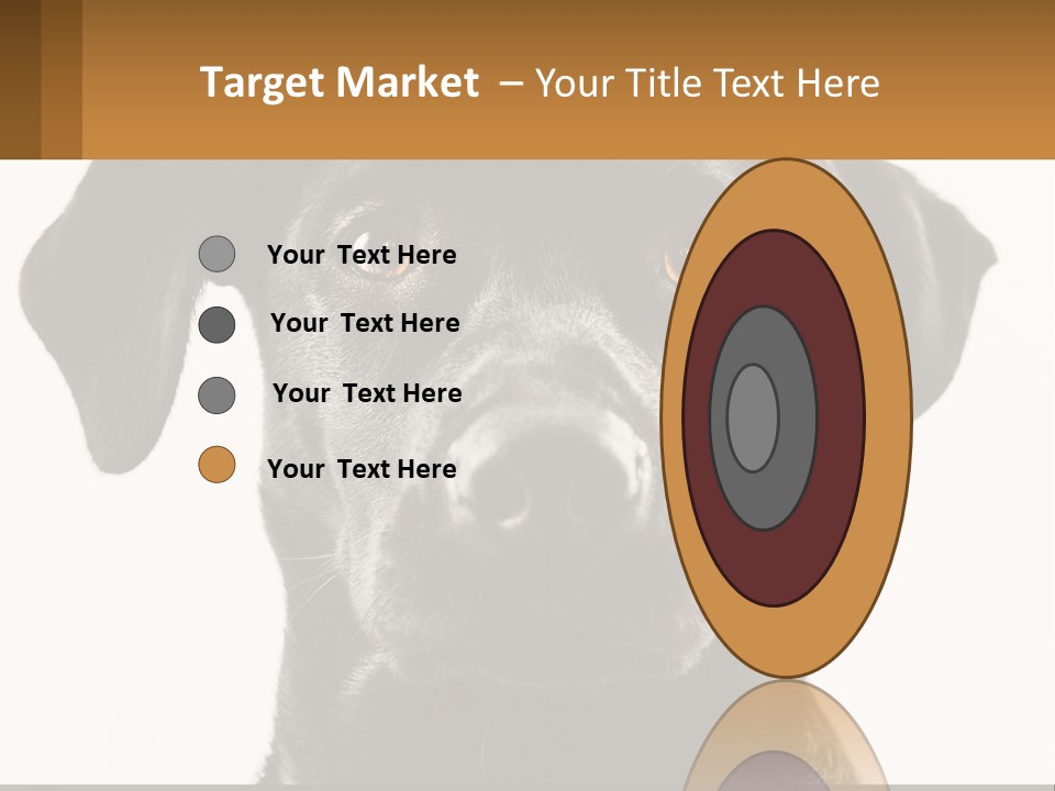 A Black Dog Is Looking At The Camera PowerPoint Template