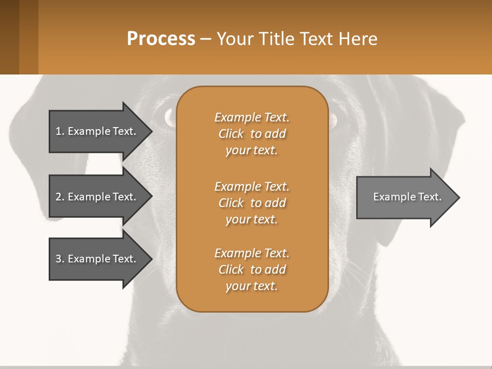 A Black Dog Is Looking At The Camera PowerPoint Template
