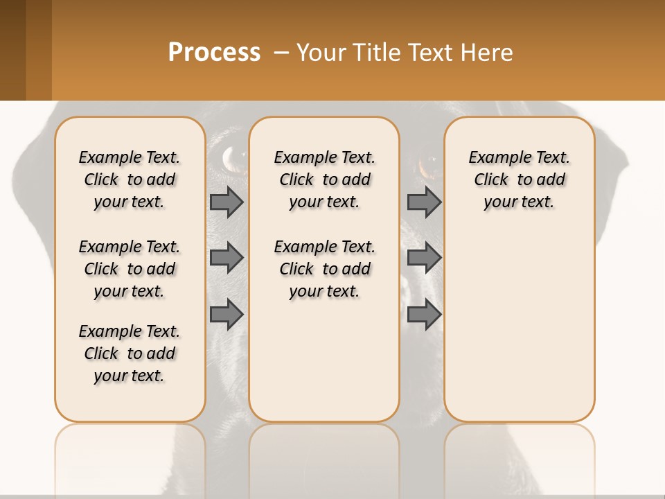 A Black Dog Is Looking At The Camera PowerPoint Template