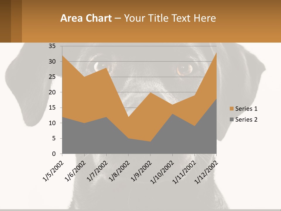 A Black Dog Is Looking At The Camera PowerPoint Template