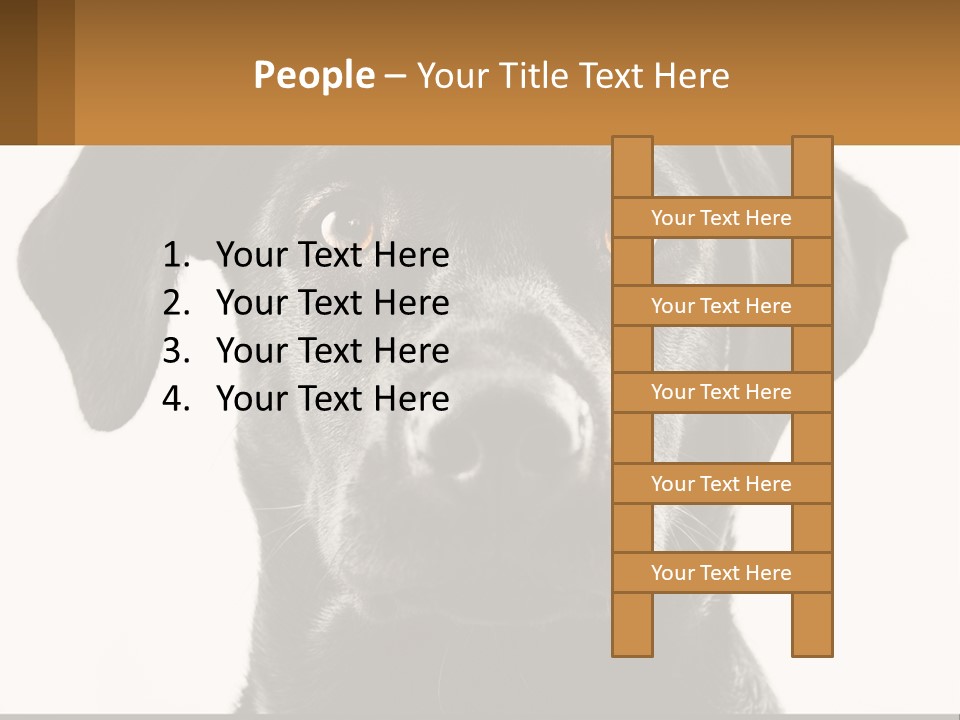 A Black Dog Is Looking At The Camera PowerPoint Template