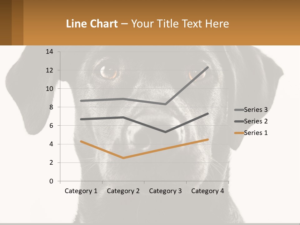 A Black Dog Is Looking At The Camera PowerPoint Template