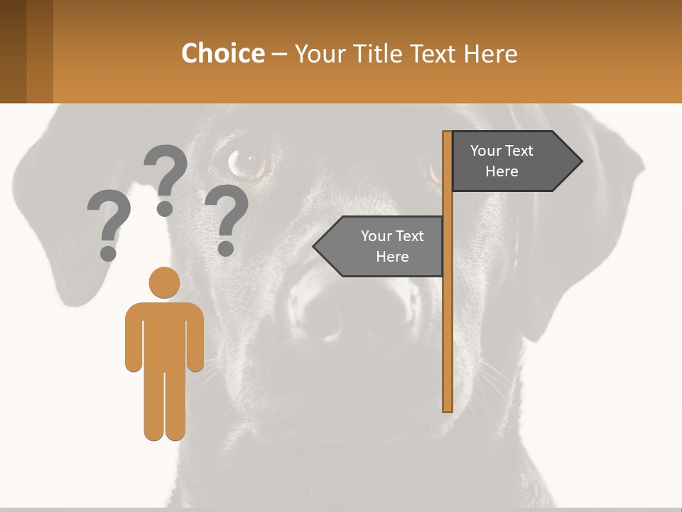 A Black Dog Is Looking At The Camera PowerPoint Template