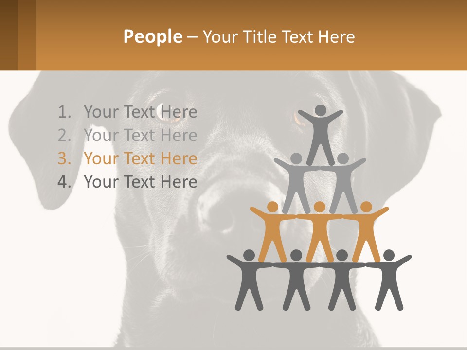 A Black Dog Is Looking At The Camera PowerPoint Template