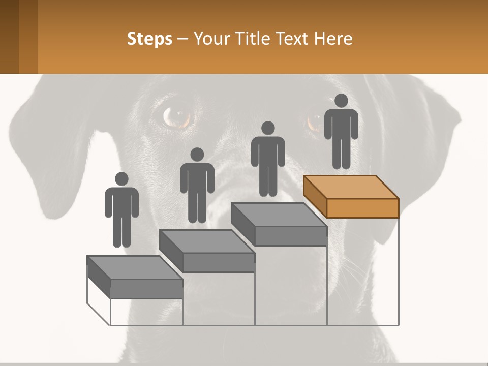 A Black Dog Is Looking At The Camera PowerPoint Template