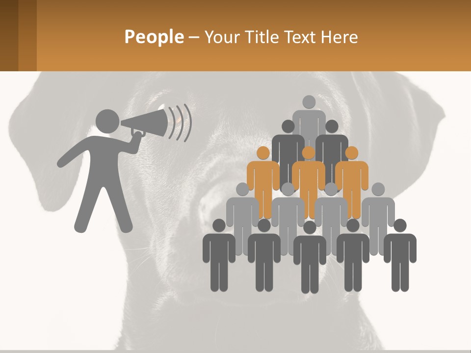 A Black Dog Is Looking At The Camera PowerPoint Template