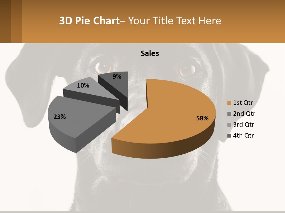 A Black Dog Is Looking At The Camera PowerPoint Template