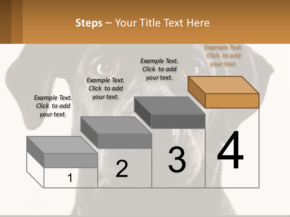 A Black Dog Is Looking At The Camera PowerPoint Template