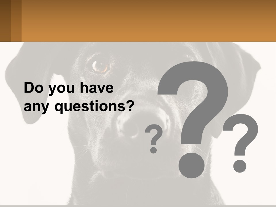 A Black Dog Is Looking At The Camera PowerPoint Template