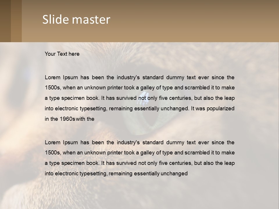 A Close Up Of A Cat's Green Eyes PowerPoint Template