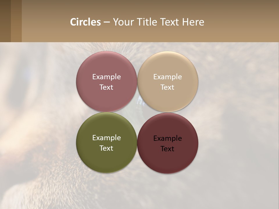 A Close Up Of A Cat's Green Eyes PowerPoint Template