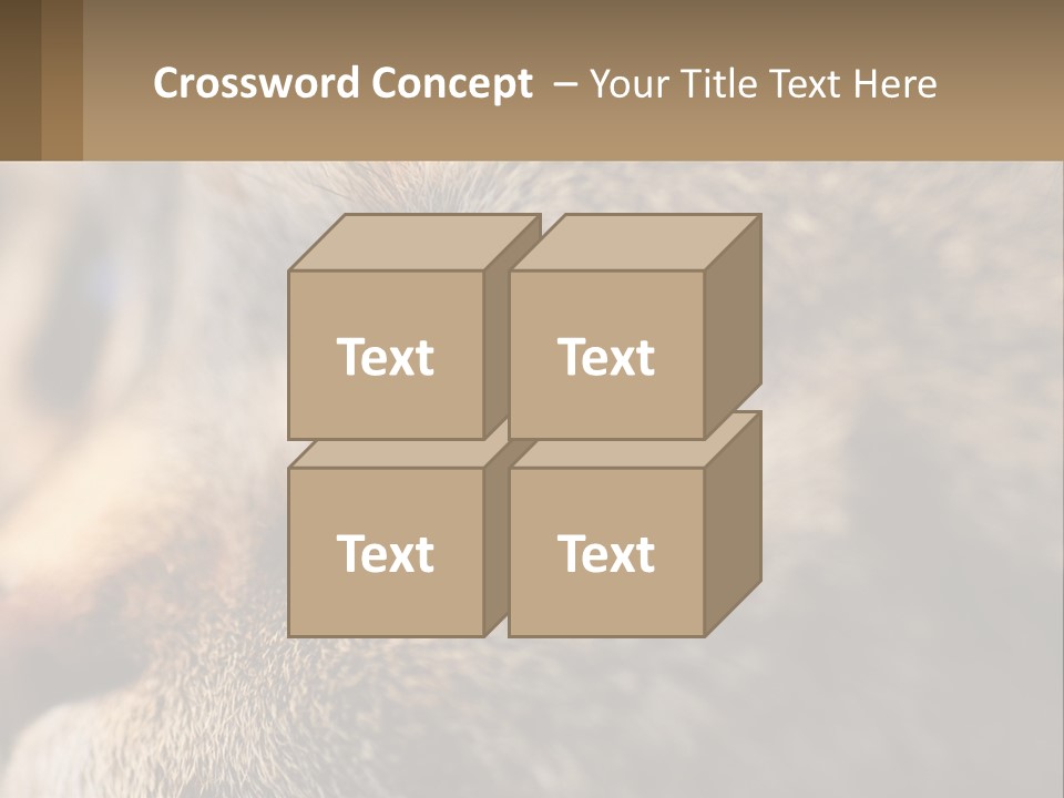 A Close Up Of A Cat's Green Eyes PowerPoint Template