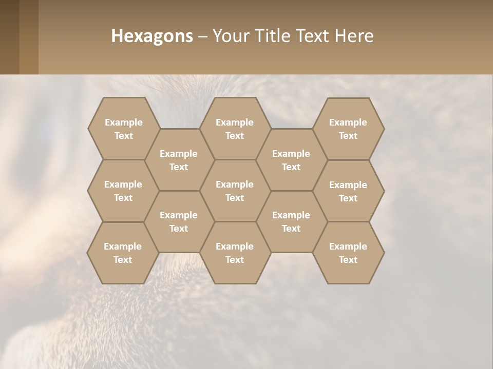 A Close Up Of A Cat's Green Eyes PowerPoint Template