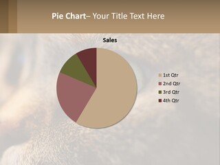 A Close Up Of A Cat's Green Eyes PowerPoint Template