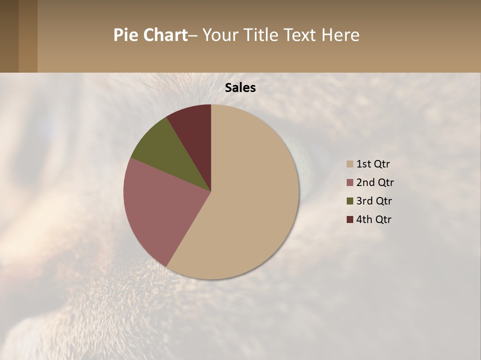 A Close Up Of A Cat's Green Eyes PowerPoint Template