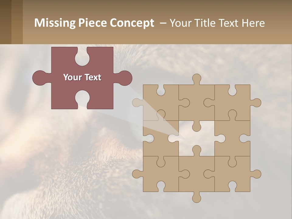 A Close Up Of A Cat's Green Eyes PowerPoint Template
