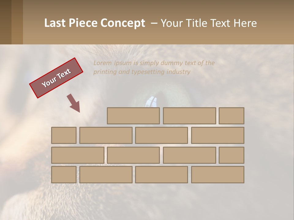A Close Up Of A Cat's Green Eyes PowerPoint Template