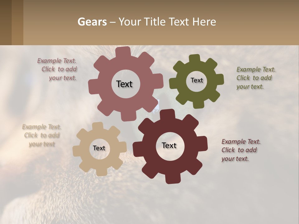 A Close Up Of A Cat's Green Eyes PowerPoint Template