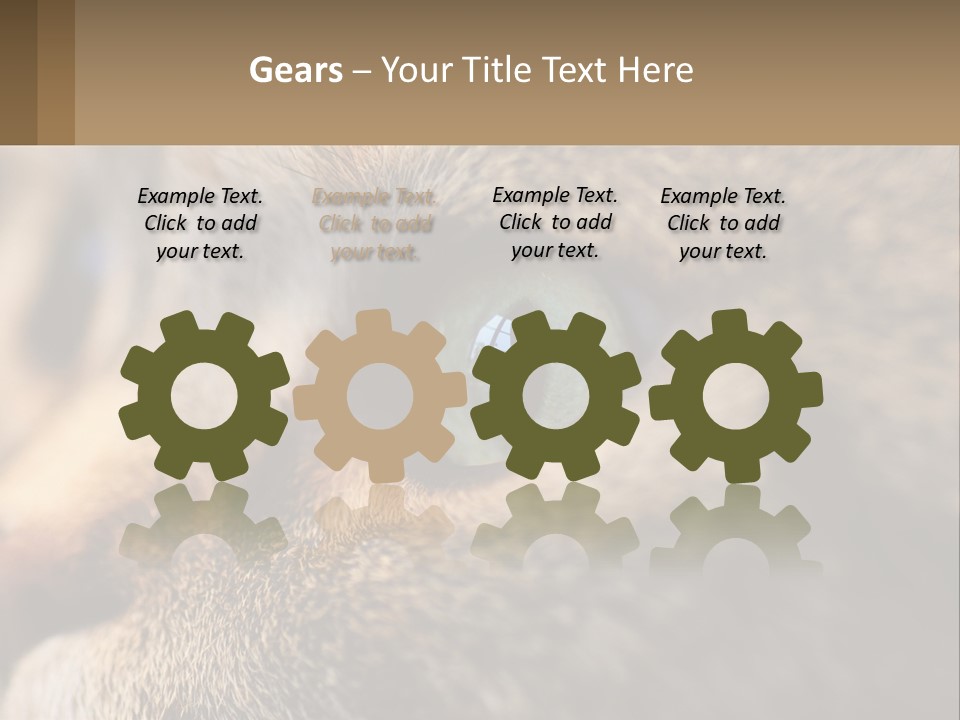 A Close Up Of A Cat's Green Eyes PowerPoint Template