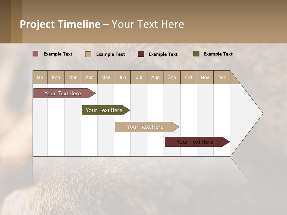 A Close Up Of A Cat's Green Eyes PowerPoint Template