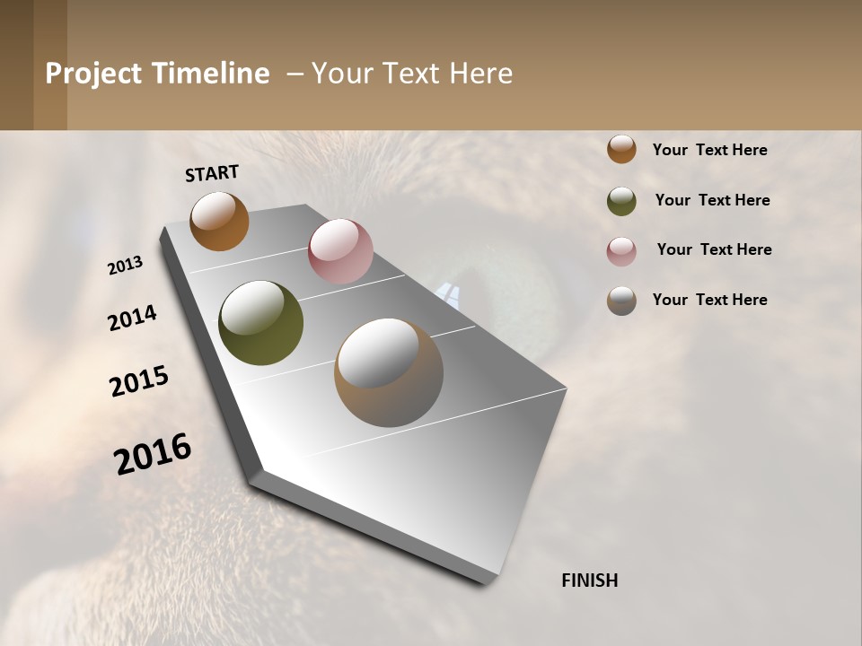 A Close Up Of A Cat's Green Eyes PowerPoint Template