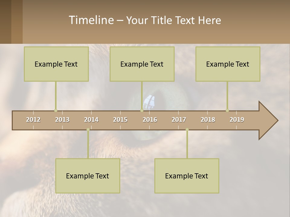A Close Up Of A Cat's Green Eyes PowerPoint Template