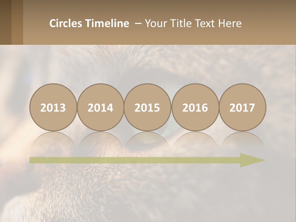 A Close Up Of A Cat's Green Eyes PowerPoint Template